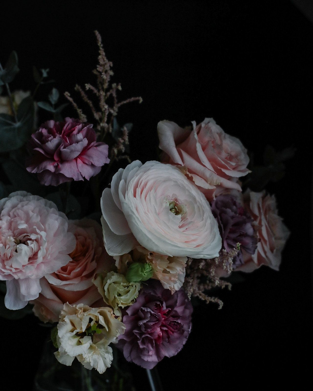 Still life photograph of cut flowers