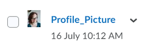 Screenshot of an artefact (image) in the ePortfolio Screenshot of an artefact (image) in the ePortfolio