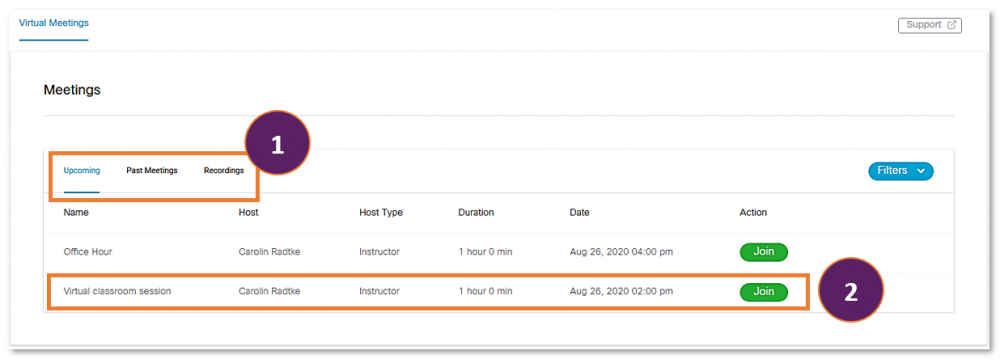 Webex interface in Brightspace